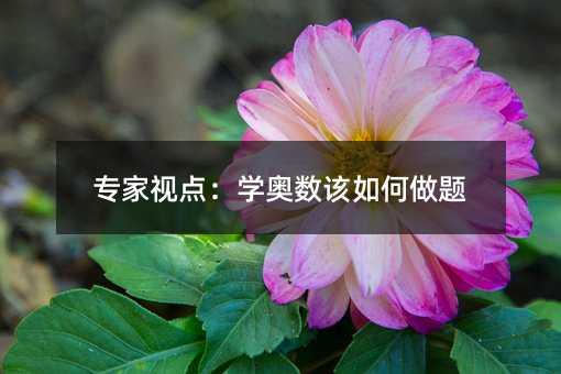 專家視點:學奧數該如何做題