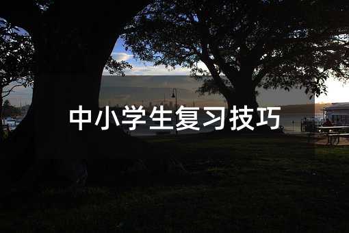 中小學生復習技巧