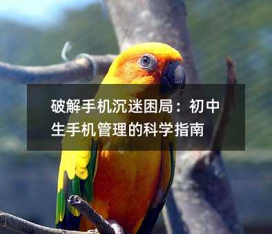破解手機沉迷困局:初中生手機管理的科學指南