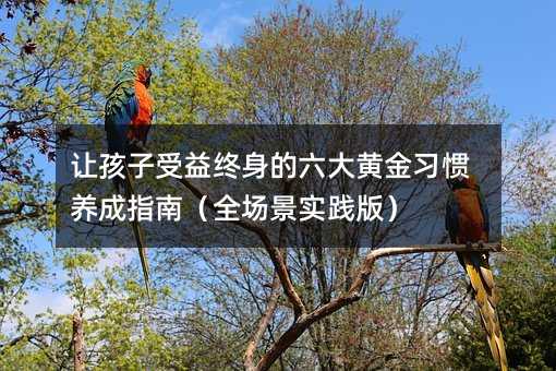 讓孩子受益終身的六大黃金習慣養成指南(全場景實踐版)