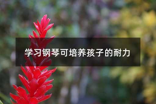 學習鋼琴可培養孩子的耐力