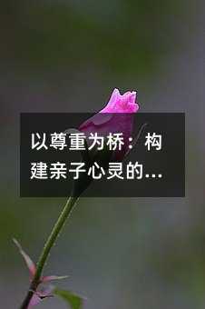 �����؞�򣺘�(g��u)���H�����`�Ĝ�֮ͨ��