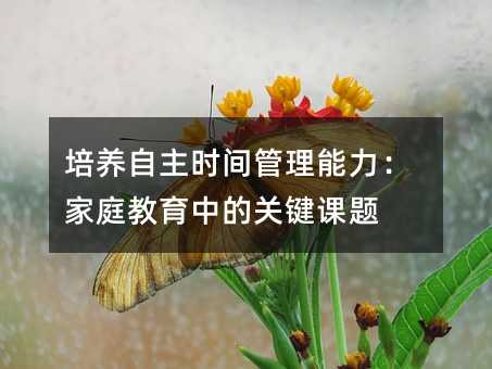 培養(yǎng)自主時(shí)間管理能力:家庭教育中的關(guān)鍵課題
