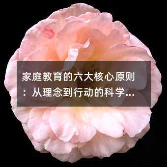 家庭教育的六大核心原則:從理念到行動(dòng)的科學(xué)指南