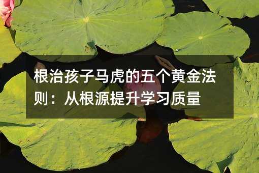 根治孩子馬虎的五個(gè)黃金法則:從根源提升學(xué)習(xí)質(zhì)量