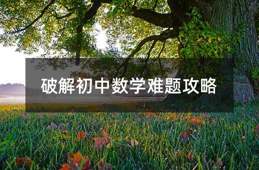 破解初中數學難題攻略
