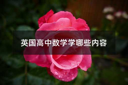英國高中數學學哪些內容