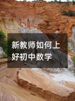 新教師如何上好初中數學