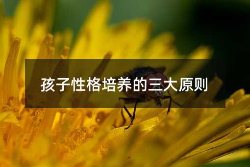孩子性格培養(yǎng)的三大原則