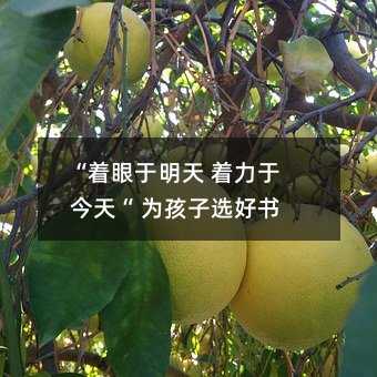 “著眼于明天 著力于今天“ 為孩子選好書