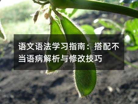 語文語法學習指南:搭配不當語病解析與修改技巧
