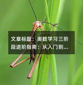文章標題:奧數(shù)學習三階段進階指南:從入門到精通的系統(tǒng)化路徑