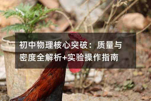 初中物理核心突破:質量與密度全解析+實驗操作指南