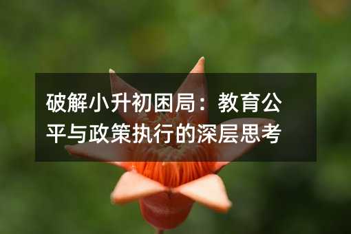 破解小升初困局:教育公平與政策執(zhí)行的深層思考