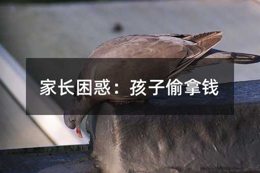 家長困惑:孩子偷拿錢