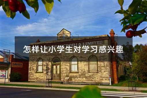 怎樣讓小學生對學習感興趣