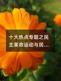 十大熱點專題之民主革命運動與民主政治進程