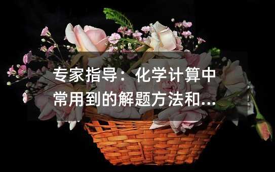 專家指導(dǎo):化學(xué)計(jì)算中常用到的解題方法和技巧