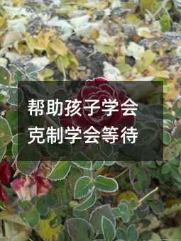 �������ӌW�����ƌW���ȴ�