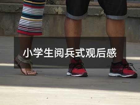 小學生閱兵式觀后感
