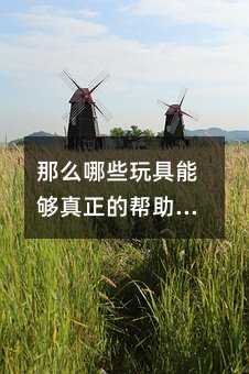 那么哪些玩具能夠真正的幫助到孩子呢?