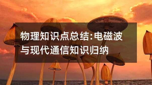 物理知識(shí)點(diǎn)總結(jié):電磁波與現(xiàn)代通信知識(shí)歸納