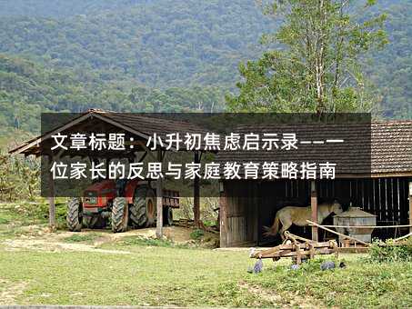 文章標題:小升初焦慮啟示錄——一位家長的反思與家庭教育策略指南