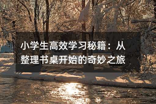 小學生高效學習秘籍:從整理書桌開始的奇妙之旅