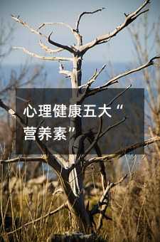 心理健康五大“營養(yǎng)素”
