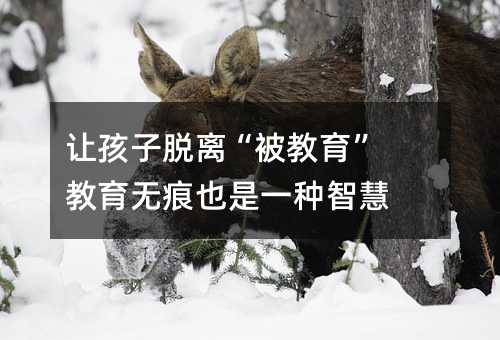 讓孩子脫離“被教育” 教育無痕也是一種智慧