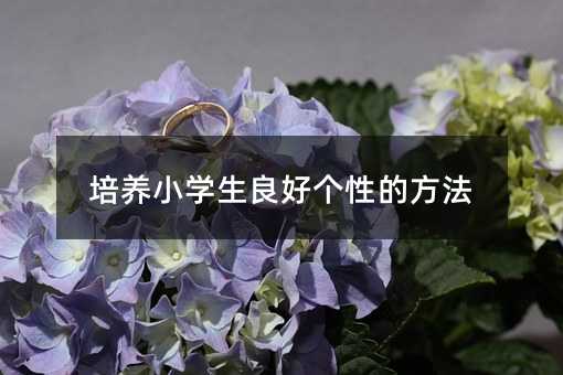 培養小學生良好個性的方法