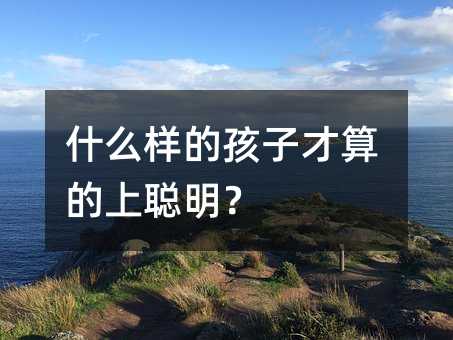 什么樣的孩子才算的上聰明?
