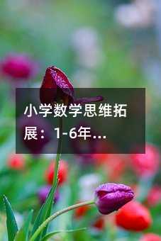 小學數學思維拓展:1-6年級經典題型深度解析與實戰技巧