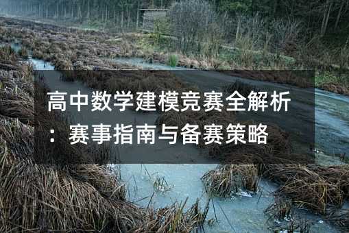 高中數學建模競賽全解析:賽事指南與備賽策略