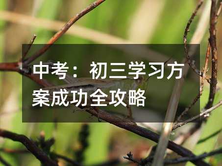 中考:初三學習方案成功全攻略
