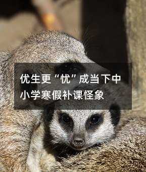 優(yōu)生更“憂”成當(dāng)下中小學(xué)寒假補(bǔ)課怪象