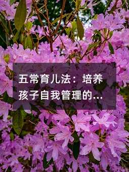 五常育兒法:培養孩子自我管理的趣味實踐手冊