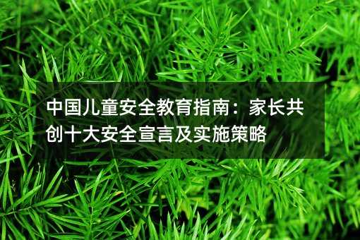 中國兒童安全教育指南:家長共創(chuàng)十大安全宣言及實(shí)施策略