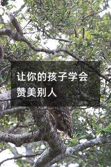 ׌��ĺ��ӌW��ٝ���e��