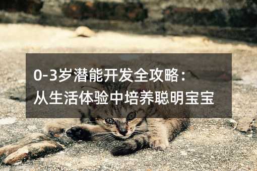 0-3歲潛能開發(fā)全攻略:從生活體驗中培養(yǎng)聰明寶寶