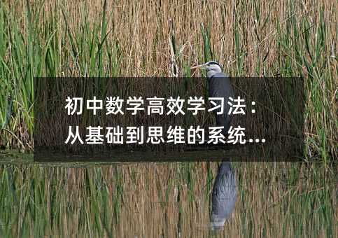 初中數學高效學習法:從基礎到思維的系統突破