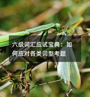 六級詞匯應試寶典:如何應對各類詞型考題