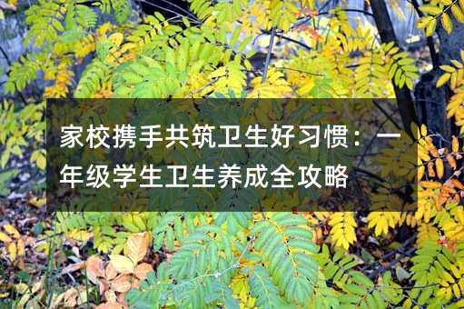 家校攜手共筑衛生好習慣:一年級學生衛生養成全攻略