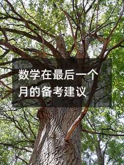 數(shù)學(xué)在最后一個(gè)月的備考建議