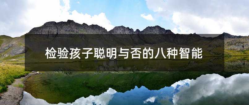 檢驗孩子聰明與否的八種智能