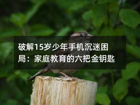 破解15歲少年手機(jī)沉迷困局:家庭教育的六把金鑰匙