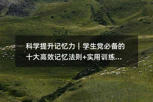 科學提升記憶力|學生黨必備的十大高效記憶法則+實用訓練方案