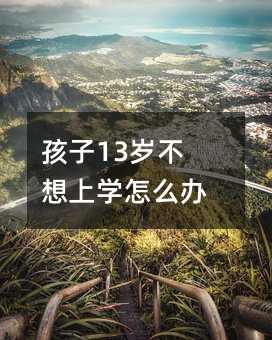 孩子13歲不想上學(xué)怎么辦