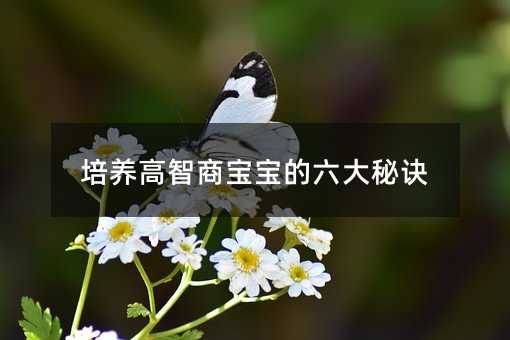 培養高智商寶寶的六大秘訣