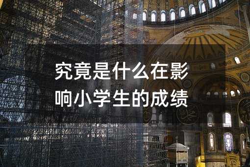 究竟是什么在影響小學生的成績